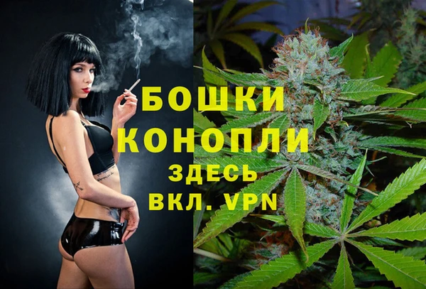 дмт Алексин
