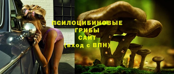 дмт Алексин