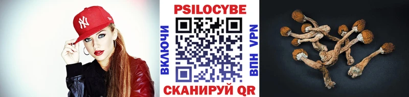 мега ссылки  купить  цена  Бакал  Галлюциногенные грибы ЛСД 