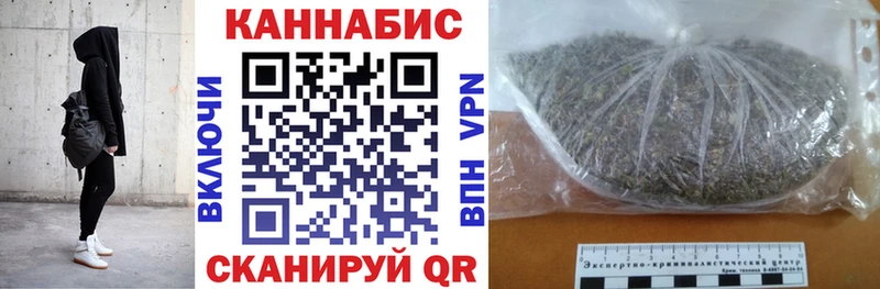 Канабис планчик  Бакал 